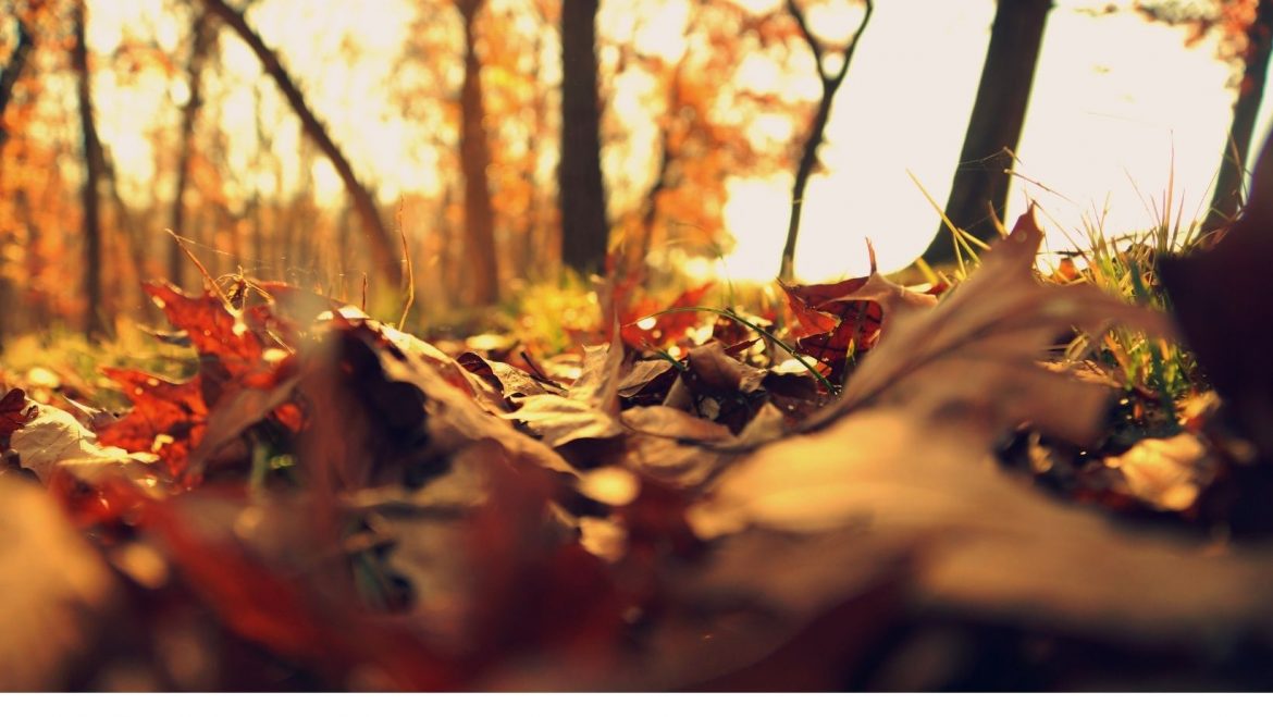 Startklar für den Winter in Haus und Garten