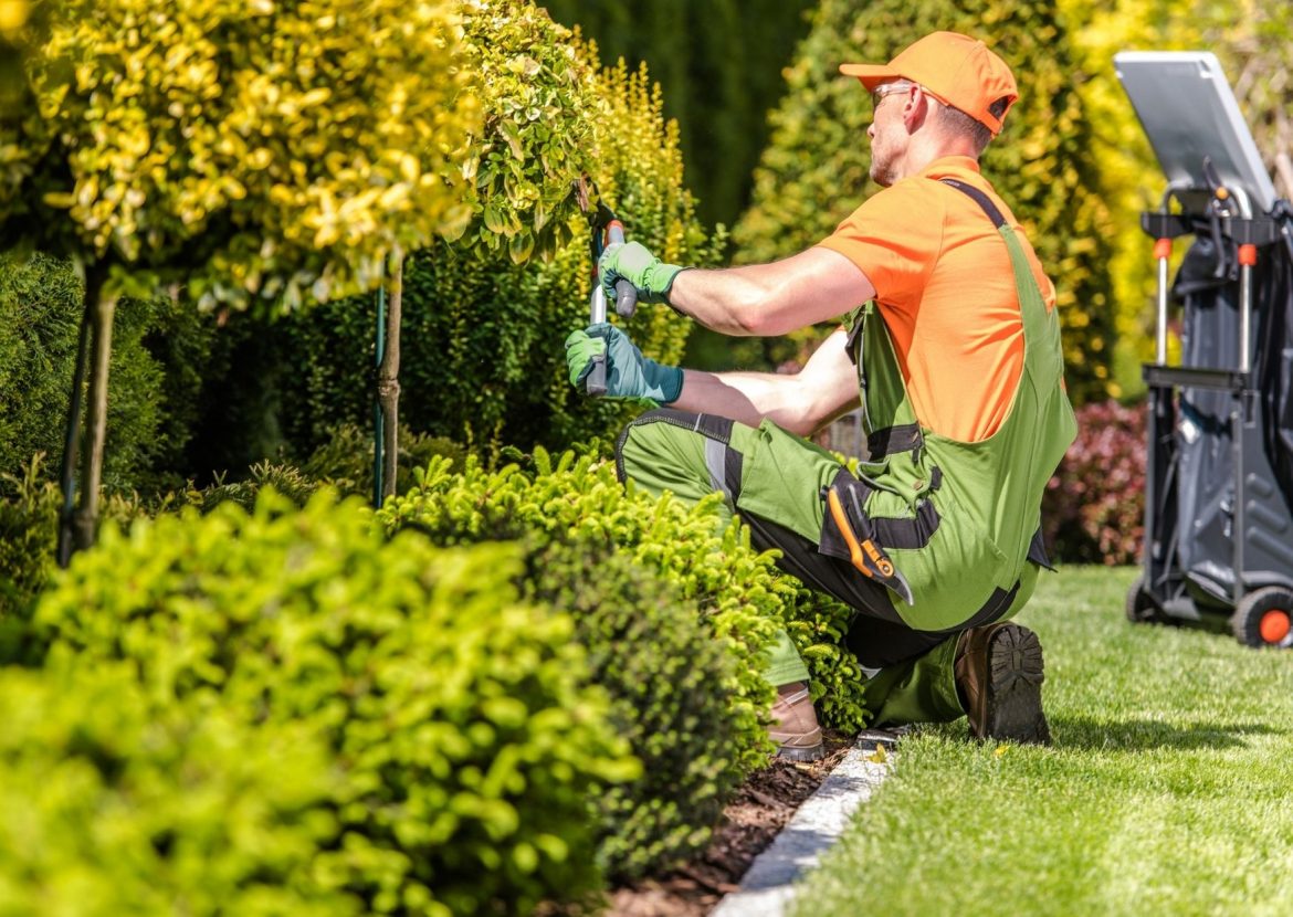 Die richtige Gartenpflege