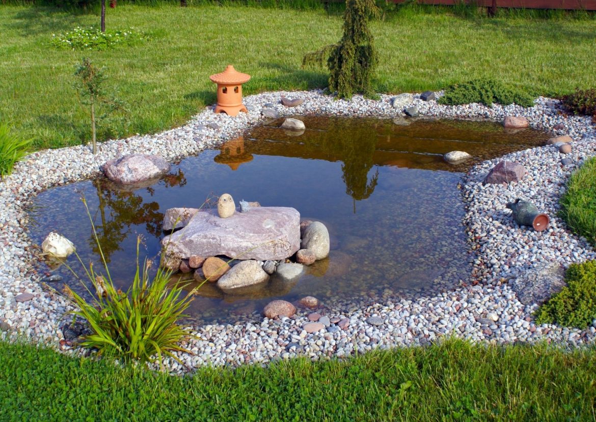 Ein eigener Teich bringt Leben in den Garten