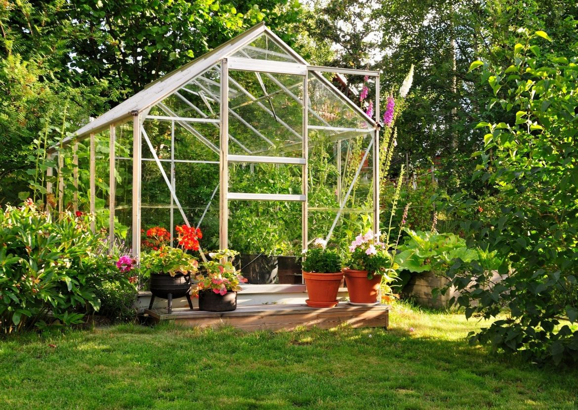 Gewächshaus selber bauen