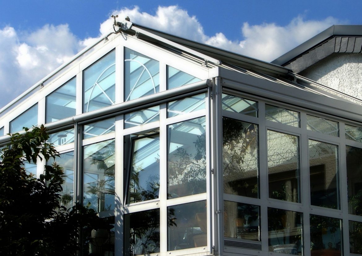 Pflanzen für den Wintergarten